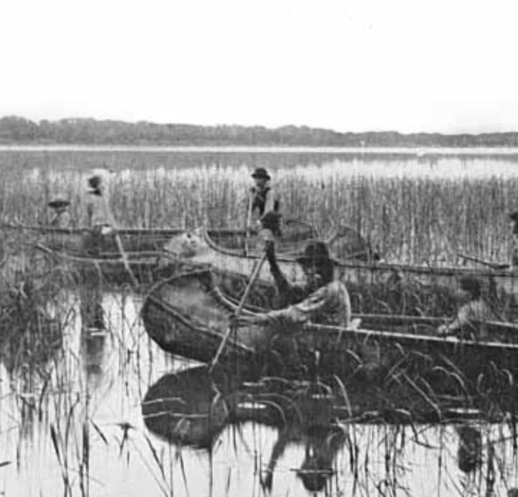 Ojibwe Nation: Woodland Traditions Live On