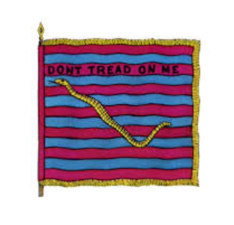 Naval Boldness: The Rattlesnake Ensign