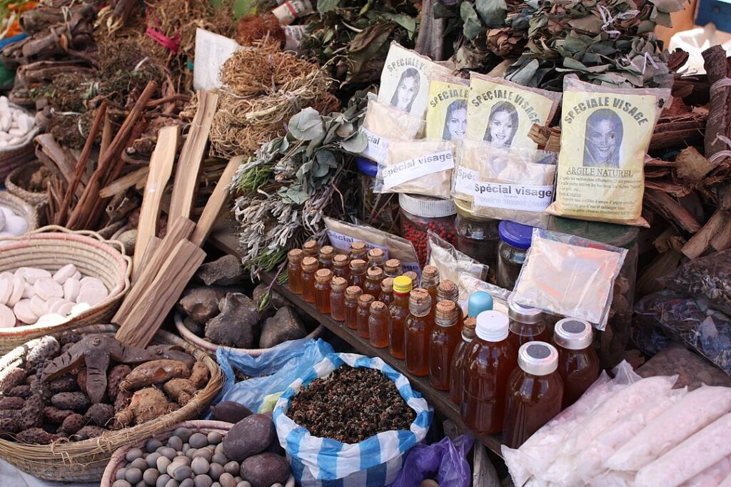 Healing Practices and Medicinal Knowledge