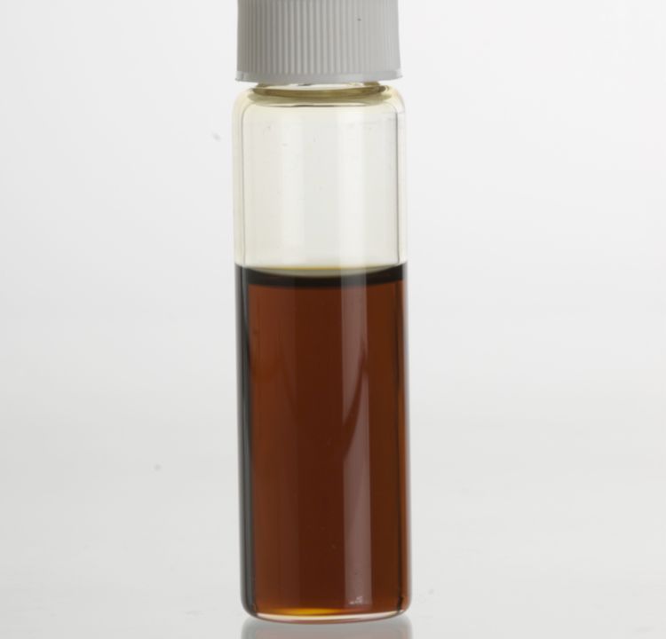 Calamus Oil: Fragrance Turned Forbidden