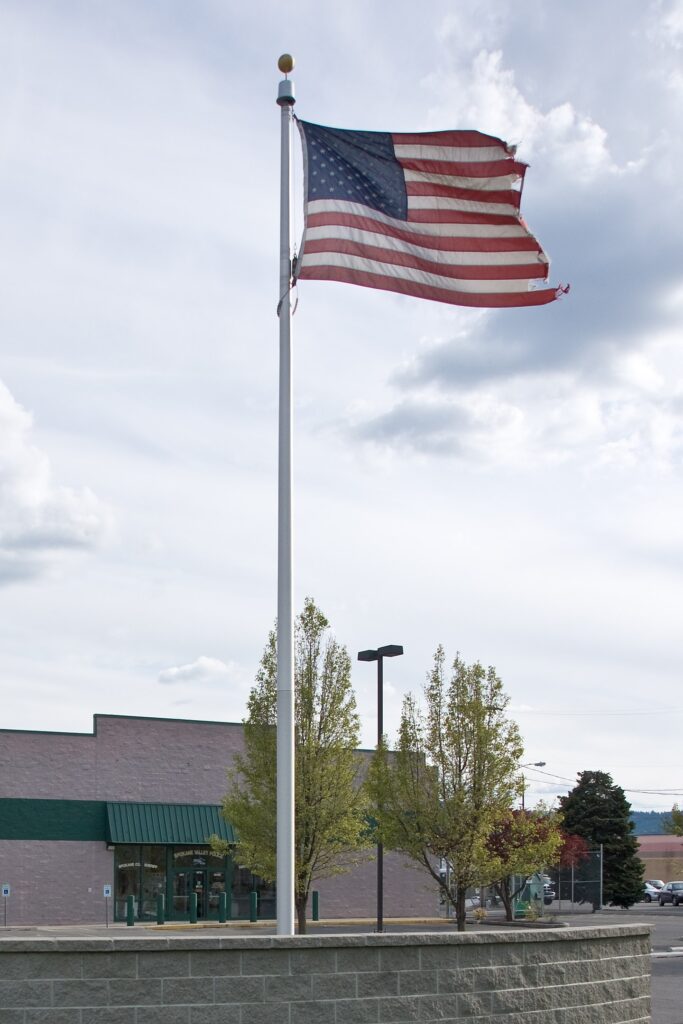The Reverence for the Flag