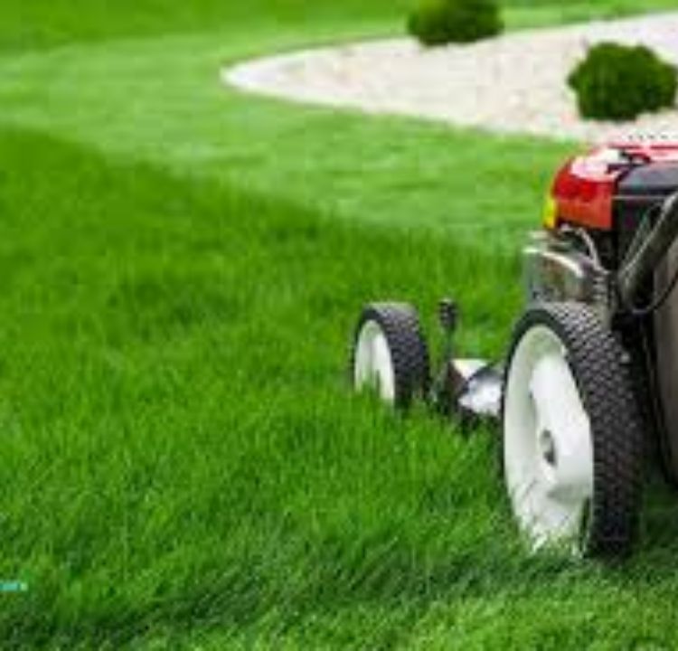 Mowing Lawns for Summer Cash