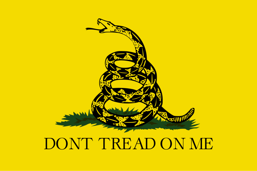 Southern Resolve: The Gadsden Flag