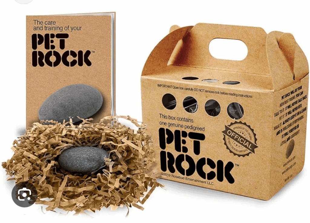 Owning a Pet Rock