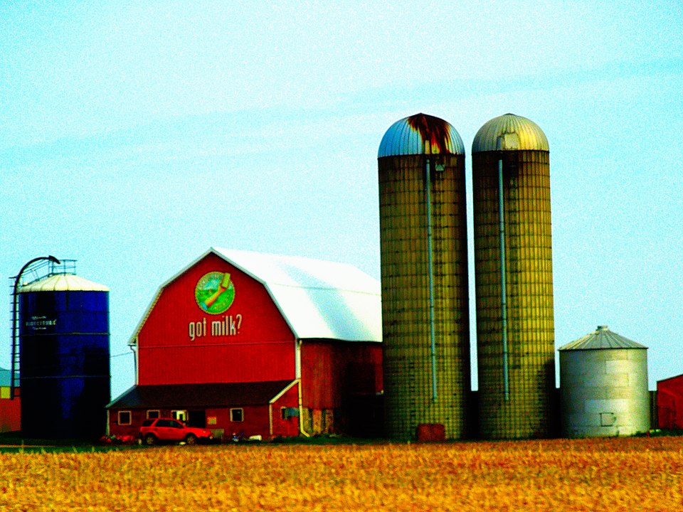 Got Milk? Campaign’s Impact