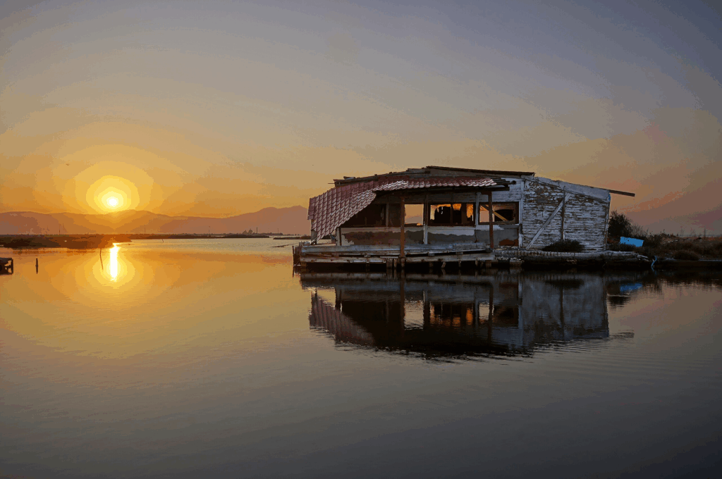 The Evolution of Iconic Tunes