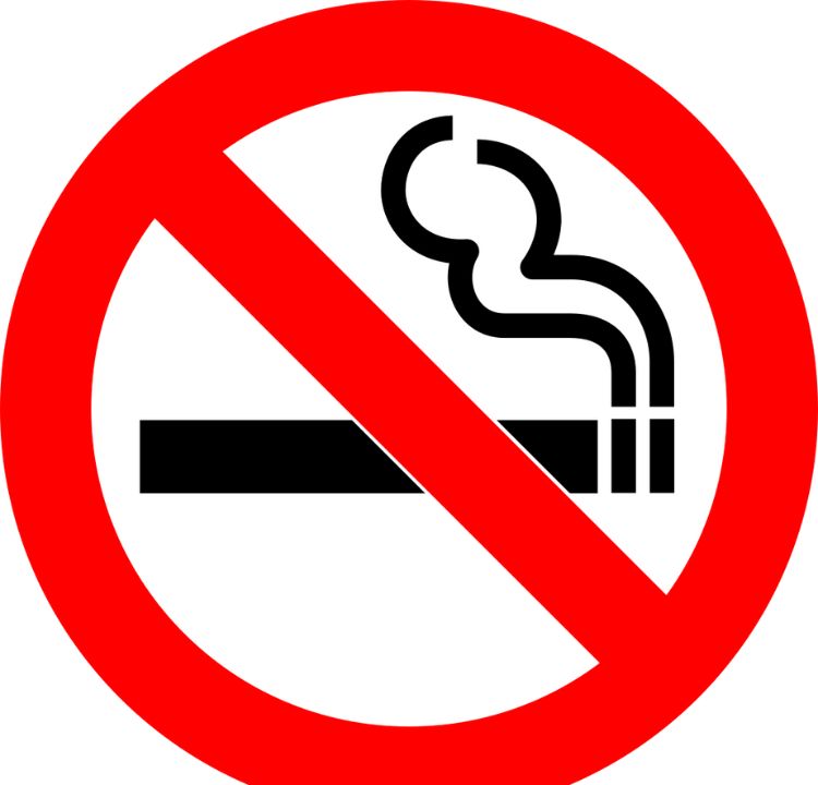 Public Smoking Bans
