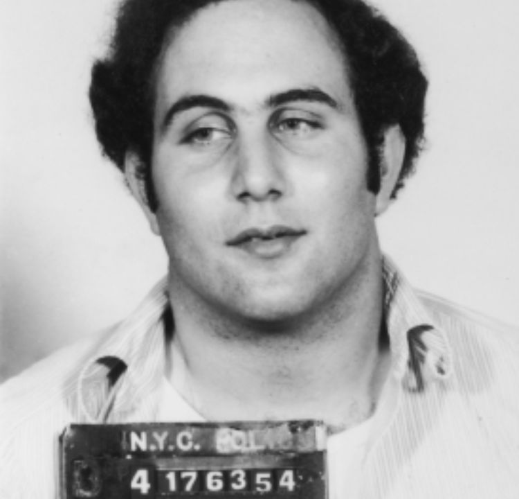 Notorious but Not a Serial Killer