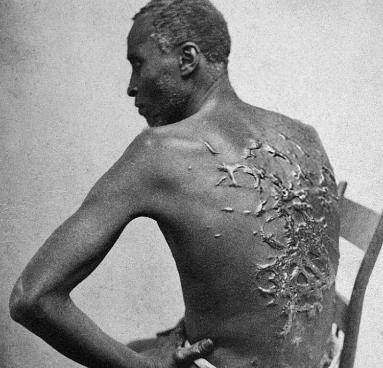 Public Whipping Regulations