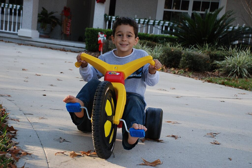 Joyride on the Big Wheel
