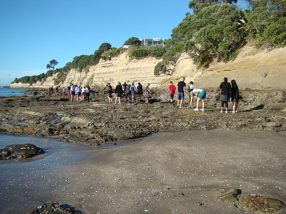 Field Trip Snapshots