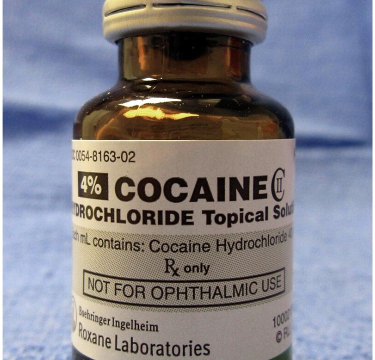 Cocaine in Medicine: A Risky Relief