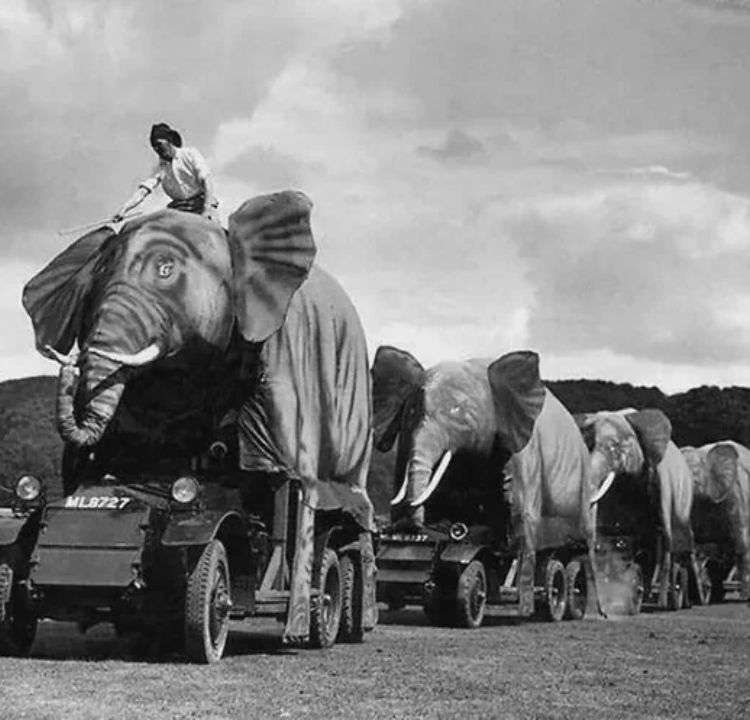 Tanks Disguised as Elephants