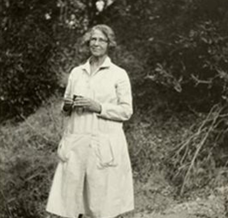 Revolutionary Botanist: Ynes Mexia